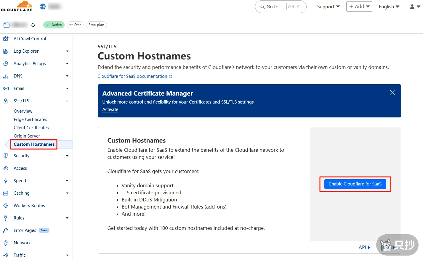 订阅 Cloudflare for SaaS